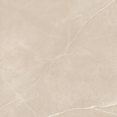 Плитка из керамогранита NL01 60x60x10 Непол.Рект. (Керамический гранит)