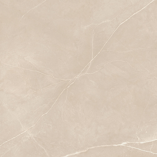 Плитка из керамогранита NL01 60x60x10 Непол.Рект. (Керамический гранит)
