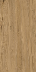 Аллея K-2102/SR/600x1200x10