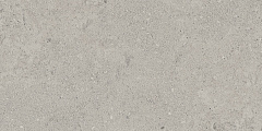 Плитка из керамогранита NP01 30,6x60,9x8 Непол. (Керамический гранит)