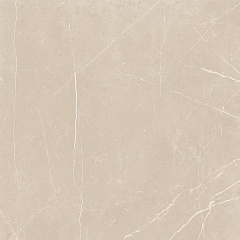 Плитка из керамогранита NL01 60x60x10 Непол.Рект. (Керамический гранит)