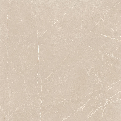 Плитка из керамогранита NL01 60x60x10 Непол.Рект. (Керамический гранит)