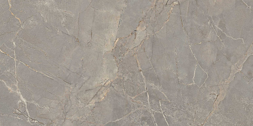 Плитка из керамогранита BR03 60x120x10 Полир. (Керамический гранит)