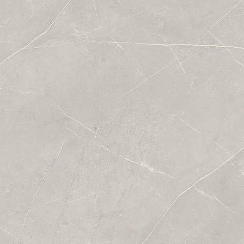 Плитка из керамогранита NL02 60x60x10 Непол.Рект. (Керамический гранит)