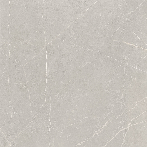 Плитка из керамогранита NL02 60x60x10 Непол.Рект. (Керамический гранит)