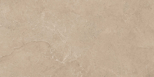 Плитка из керамогранита EXS303 60x120x9 Непол.Рект. (Керамический гранит)