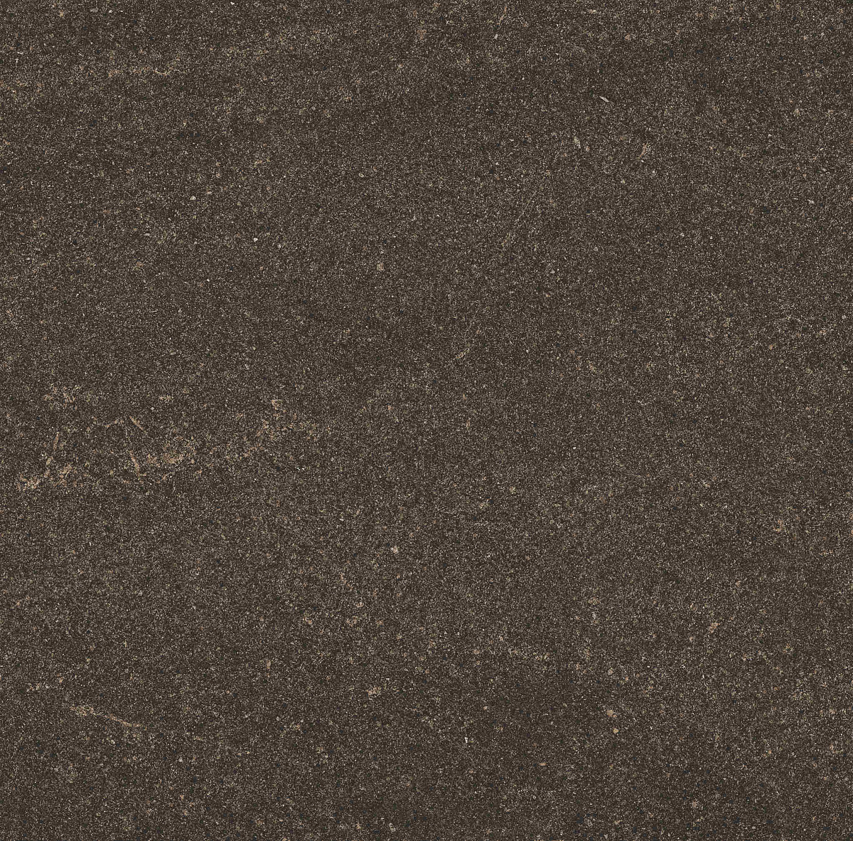Плитка из керамогранита GB04 60x60x10 Непол.Рект. (Керамический гранит)