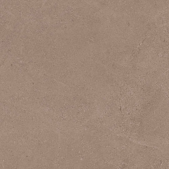 Плитка из керамогранита GO01 60x60 Непол.Рект. (Керамический гранит)