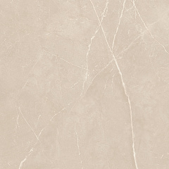 Плитка из керамогранита NL01 60x60x10 Непол.Рект. (Керамический гранит)