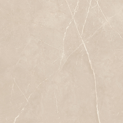 Плитка из керамогранита NL01 60x60x10 Непол.Рект. (Керамический гранит)