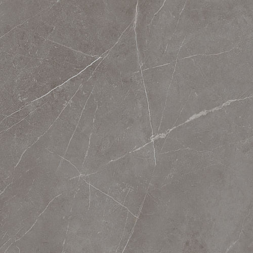 Плитка из керамогранита NL03 60x60x10 Непол.Рект. (Керамический гранит)