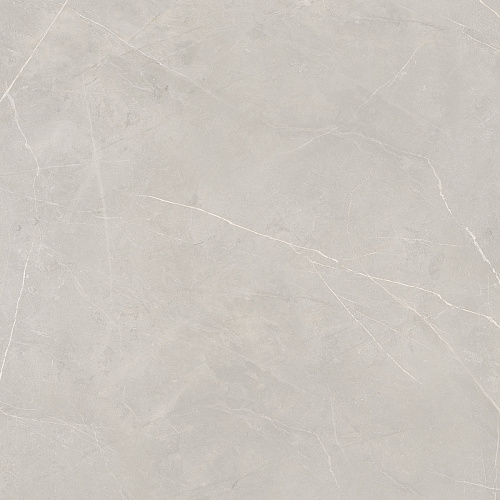 Плитка из керамогранита NL02 60x60x10 Непол.Рект. (Керамический гранит)