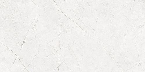 Плитка из керамогранита NL00 60x120x10 Непол.Рект. (Керамический гранит)