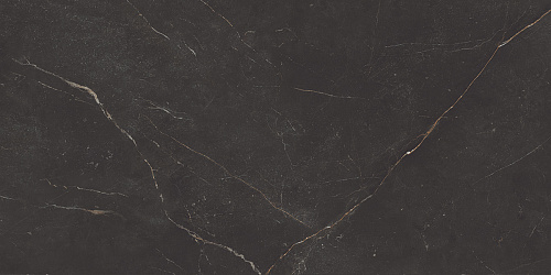 Плитка из керамогранита NL04 60x120x10 Непол.Рект. (Керамический гранит)