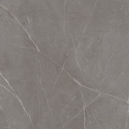 Плитка из керамогранита NL03 60x60x10 Непол.Рект. (Керамический гранит)
