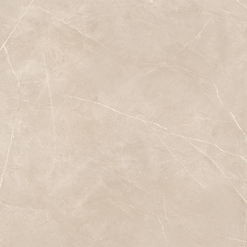 Плитка из керамогранита NL01 60x60x10 Непол.Рект. (Керамический гранит)