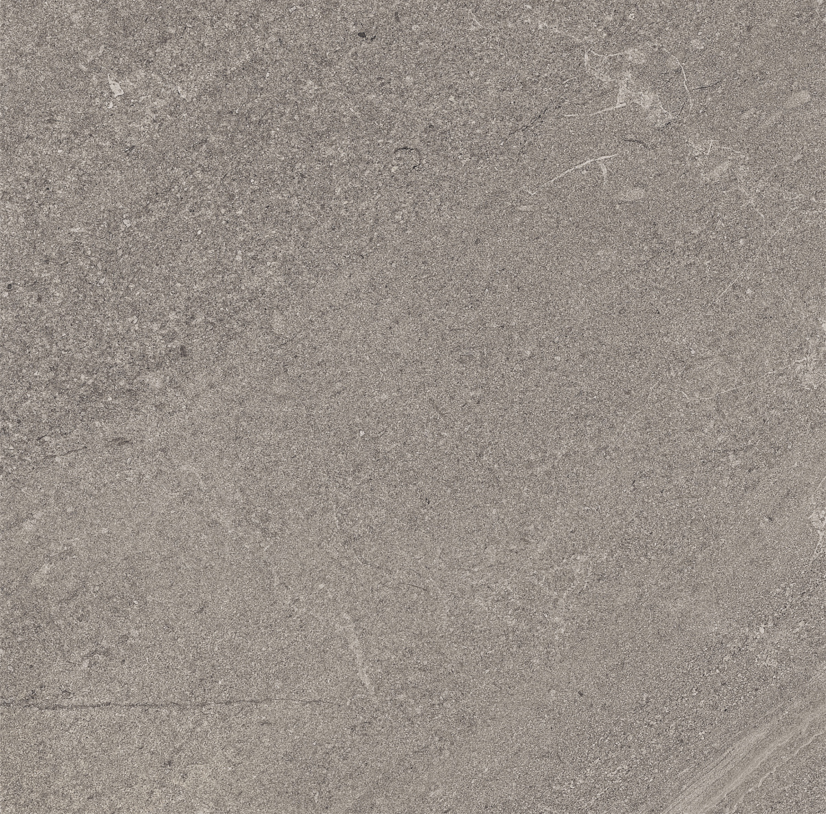 Плитка из керамогранита GB02 60x60x10 Непол.Рект. (Керамический гранит)