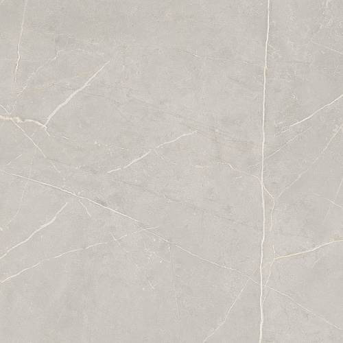 Плитка из керамогранита NL02 60x60x10 Непол.Рект. (Керамический гранит)