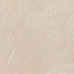 Плитка из керамогранита NL01 60x60x10 Непол.Рект. (Керамический гранит)