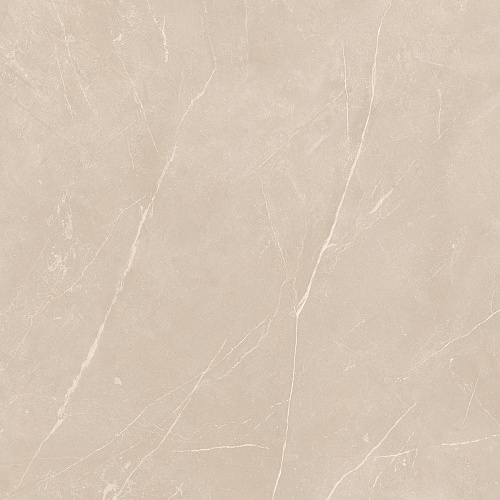 Плитка из керамогранита NL01 60x60x10 Непол.Рект. (Керамический гранит)