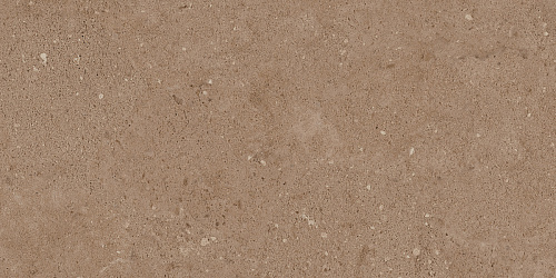 Плитка из керамогранита NP03 30,6x60,9x8 Непол. (Керамический гранит)