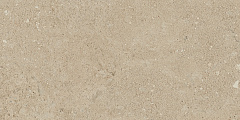 Плитка из керамогранита NP02 30,6x60,9x8 Непол. (Керамический гранит)