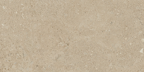 Плитка из керамогранита NP02 30,6x60,9x8 Непол. (Керамический гранит)