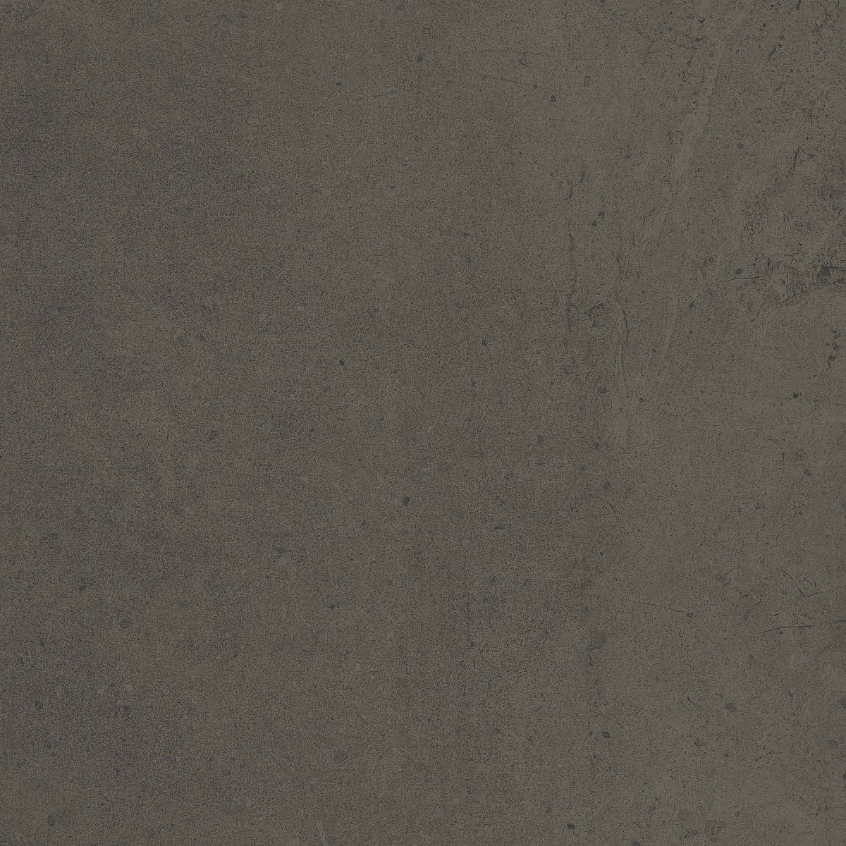 Плитка из керамогранита GO11 60x60x10 Непол.Рект. (Керамический гранит)