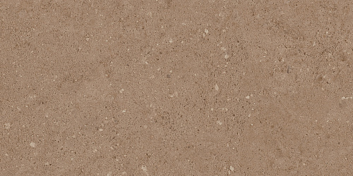 Плитка из керамогранита NP03 30,6x60,9x8 Непол. (Керамический гранит)
