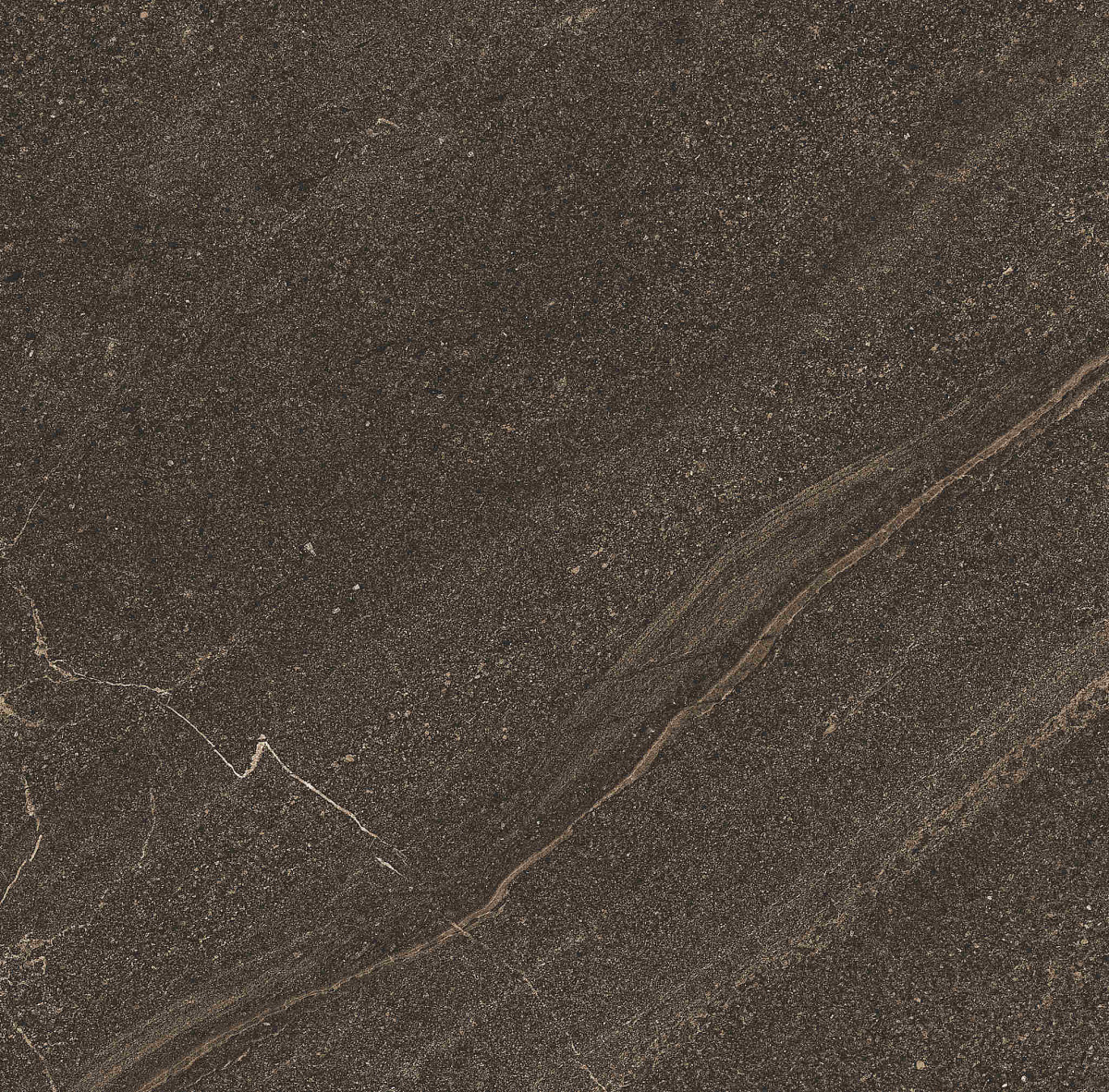 Плитка из керамогранита GB04 60x60x10 Непол.Рект. (Керамический гранит)