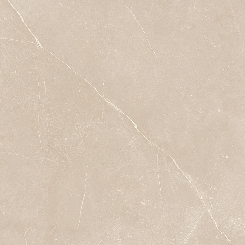 Плитка из керамогранита NL01 60x60x10 Непол.Рект. (Керамический гранит)