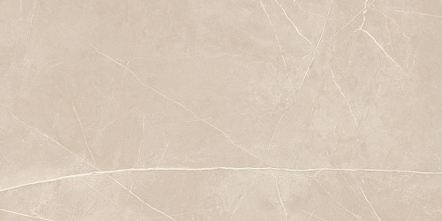Плитка из керамогранита NL01 60x120x10 Непол.Рект. (Керамический гранит)