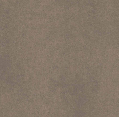 Плитка из керамогранита CA04 60x60x10 Непол.Рект. (Керамический гранит)