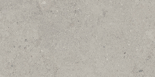 Плитка из керамогранита NP01 30,6x60,9x8 Непол. (Керамический гранит)