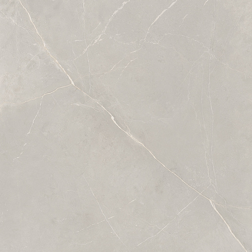 Плитка из керамогранита NL02 60x60x10 Непол.Рект. (Керамический гранит)