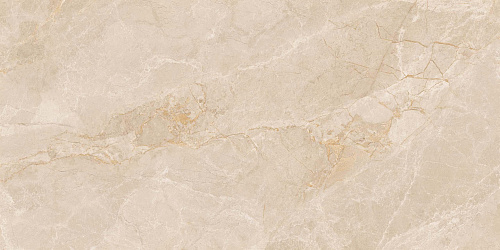 Плитка из керамогранита EXM301 60x120x9 Непол.Рект. (Керамический гранит)