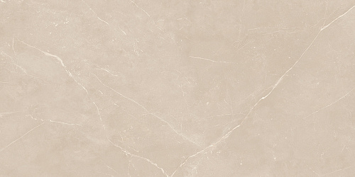 Плитка из керамогранита NL01 60x120x10 Непол.Рект. (Керамический гранит)