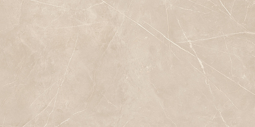 Плитка из керамогранита NL01 60x120x10 Непол.Рект. (Керамический гранит)
