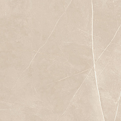 Плитка из керамогранита NL01 60x60x10 Непол.Рект. (Керамический гранит)