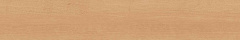 Плитка из керамогранита CW04 19,4х120х10 Непол.Рект. (Керамический гранит)