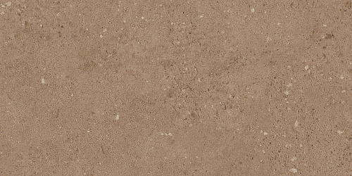 Плитка из керамогранита NP03 30,6x60,9x8 Непол. (Керамический гранит)