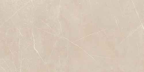 Плитка из керамогранита NL01 60x120x10 Непол.Рект. (Керамический гранит)