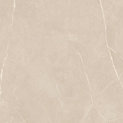 Плитка из керамогранита NL01 60x60x10 Непол.Рект. (Керамический гранит)
