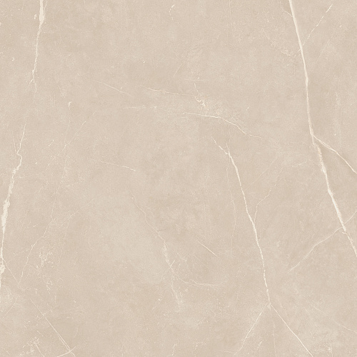 Плитка из керамогранита NL01 60x60x10 Непол.Рект. (Керамический гранит)