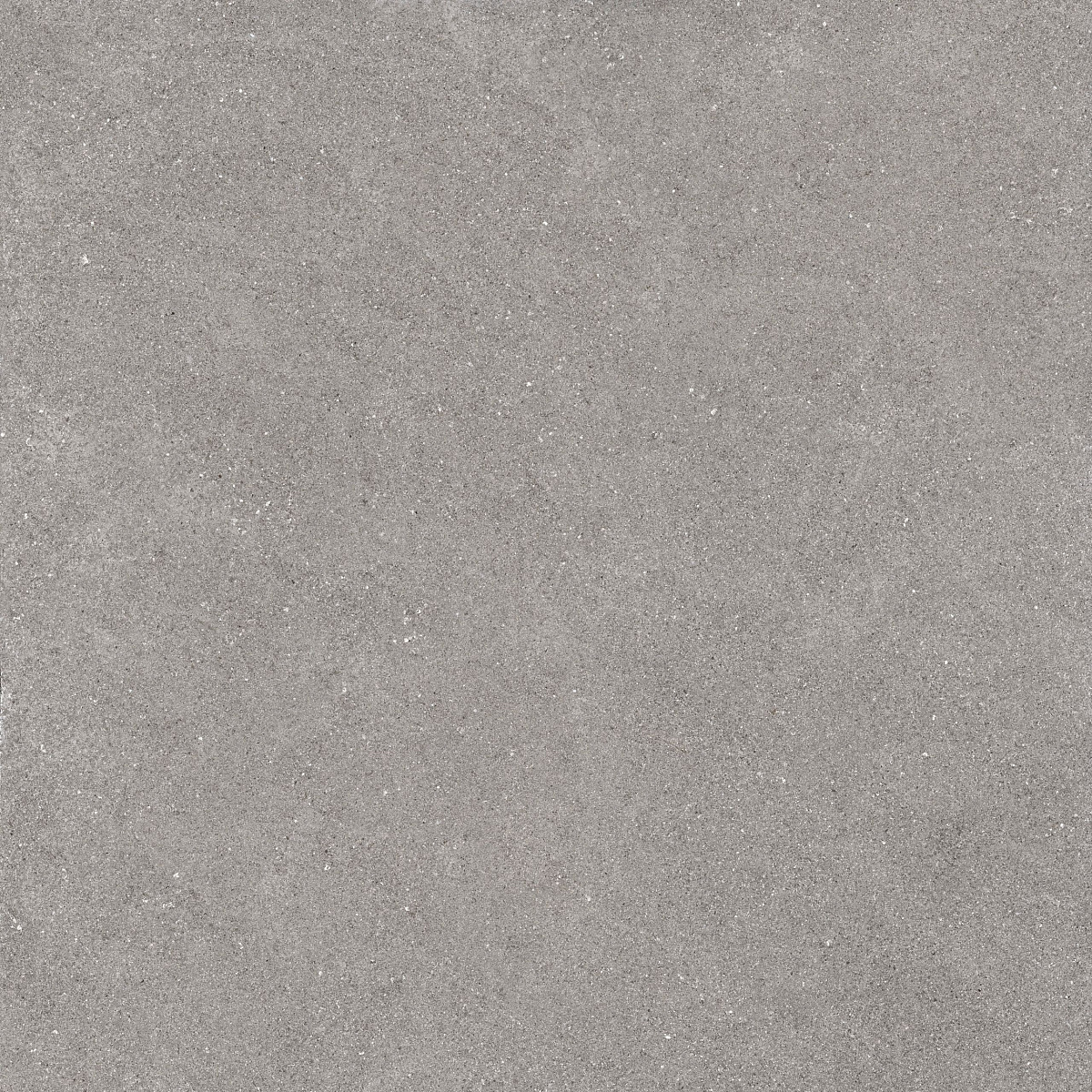 Плитка из керамогранита LN02 60x60x10 Непол.Рект. (Керамический гранит)
