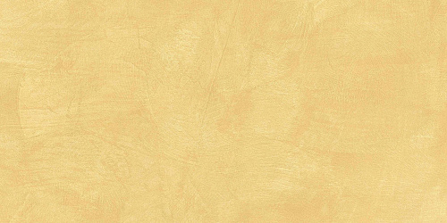 Плитка из керамогранита SR04 60x120х10 Непол.Рект. (Керамический гранит)