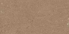 Плитка из керамогранита NP03 30,6x60,9x8 Непол. (Керамический гранит)