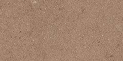 Плитка из керамогранита NP03 30,6x60,9x8 Непол. (Керамический гранит)