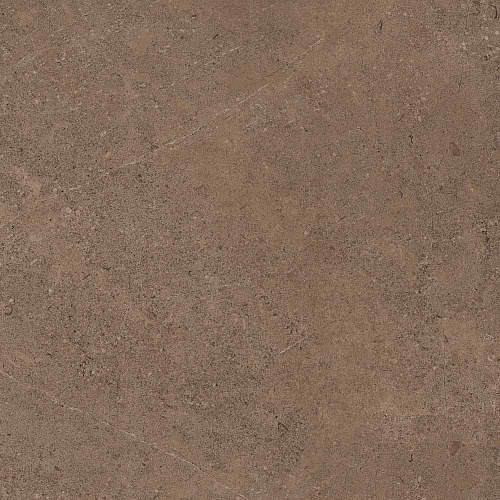 Плитка из керамогранита GO02 60x60 Непол.Рект. (Керамический гранит)
