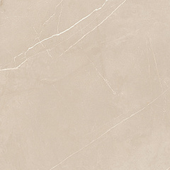 Плитка из керамогранита NL01 60x60x10 Непол.Рект. (Керамический гранит)